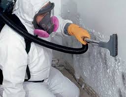 Best Airborne Mold Testing  in Decherd, TN